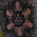 Tattoos - fractal tattoo - 69630